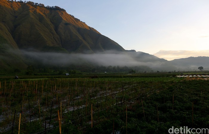 360 Spot Foto dan Menikmati Sunrise di Sembalun