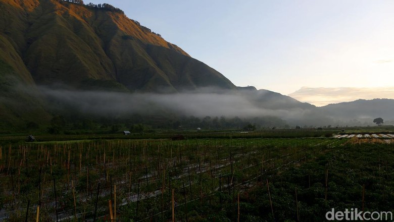 360 Spot Foto dan Menikmati Sunrise di Sembalun 360 Spot Foto dan Menikmati Sunrise di Sembalun