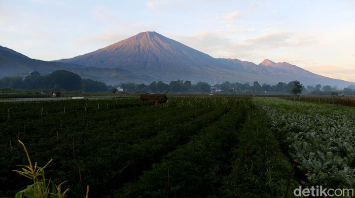 360 Spot Foto dan Menikmati Sunrise di Sembalun