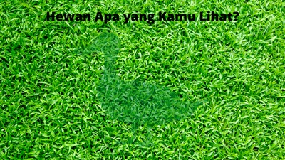 Merasa Kesulitan Lihat Siluet Gambar Ini? Bisa Jadi Tanda Buta Warna