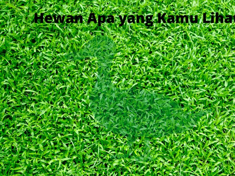 Merasa Kesulitan Lihat Siluet Gambar Ini? Bisa Jadi Tanda Buta Warna