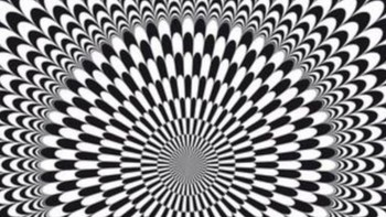 Apakah kamu melihat gambar ini bergerak? Foto: Reddit