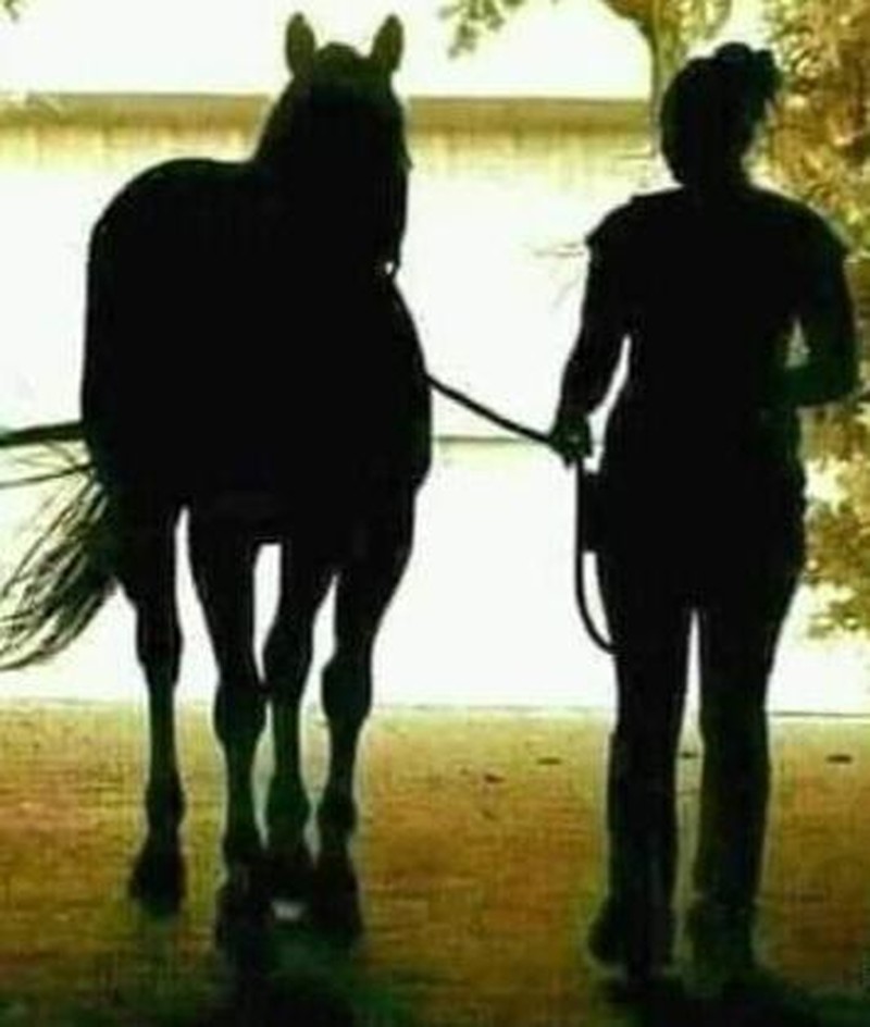 Foto ilusi optik memusingkan