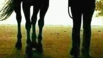 Mengarah ke mana? Foto: Reddit