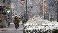 Seoang pesepeda diguyur rintik salju di Tokyo, (6/1/2022). Di sebelahnya, dedaunan mulai memutih karena banyaknya salju yang turun.