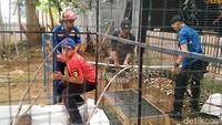 Untuk sementara, buaya muara itu dievakuasi ke Polsek Pekalongan Selatan. Buaya itu dimasukkan ke kandang di kawasan Polsek.