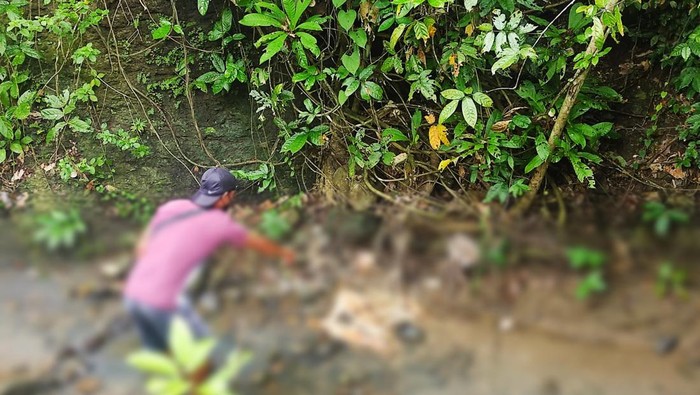 penemuan tengkorak di banyuwangi