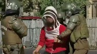 Peternak Lebah Demo di Chile, 7 Polisi Kena Sengat Sampai Masuk RS