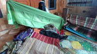 Selain indah, kain tenun Sembalun juga sangat halus. (Bonauli/detikcom)