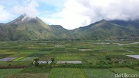Bentangan sawah dan bukit juga menjadi suguhan yang tiada duanya. (20detik)