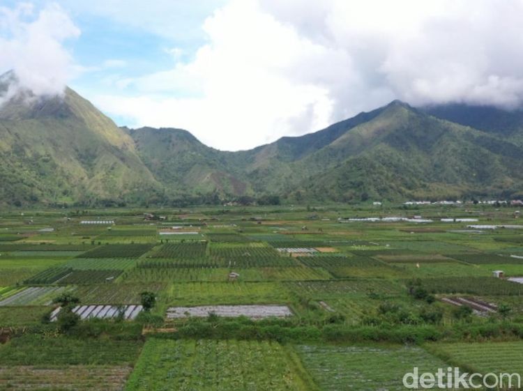 Melihat Seluruh Sembalun dari Titik 360