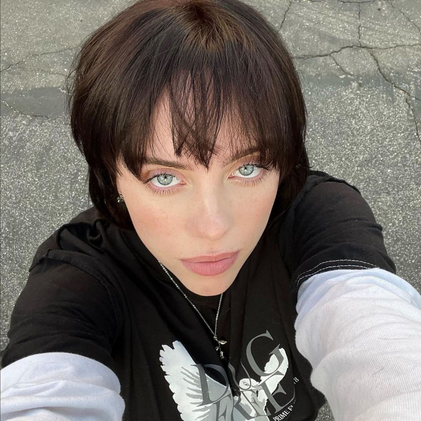 Tren warna rambut 2022, brunette.