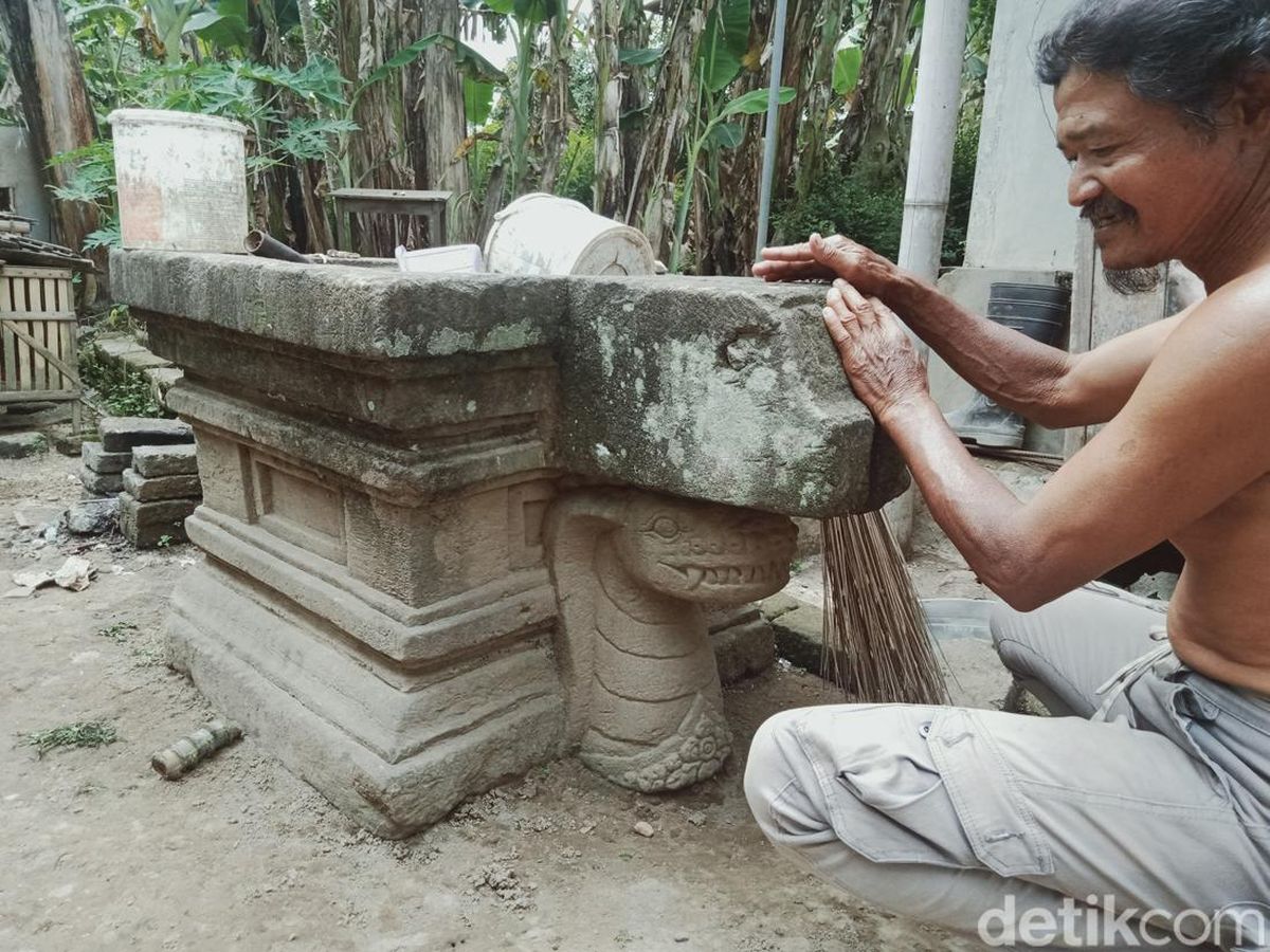 Kattalar uchun sifatli erotik
