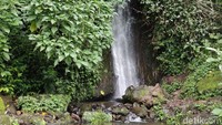 Curug Rawa Gede berada di sebelah barat laut Bumi Perkemahan Mandalawangi Cibodas, terdapat dua lompatan di air terjun, yang tertinggi memiliki ketinggian sekitar 10 meter, dan yang kecil lompatannya tidak lebih dari 1,5 meter.