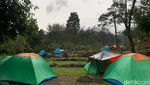 Teduhnya Bumi Perkemahan Mandalawangi Cibodas
