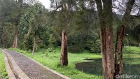 Mandalawangi camping ground dikelola oleh Perum Perhutani KPH Cianjur, Bumi perkemahan ini memiliki status sebagai hutan produksi dengan luas 39,5 hektar. Wana wisata seluas 10 hektar itu memiliki lingkungan ekosistem hutan dengan kontur lahan yang berbukit-bukit.