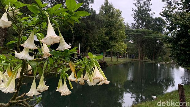 Bumi Perkemahan Mandalawangi