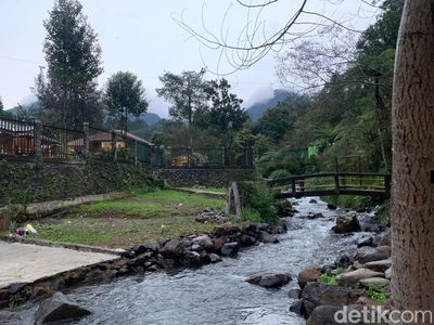 Teduhnya Bumi Perkemahan Mandalawangi Cibodas
