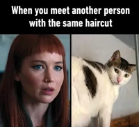 Meme Dont Look Up