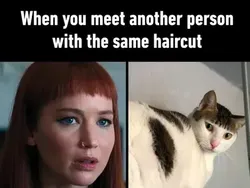 Meme Sci-fi Dont Look Up, Ancaman Komet Tabrak Bumi