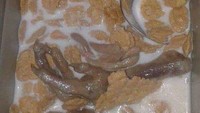 Ingin mencoba sarapan dengan gaya baru, seorang netizen menyeduh cornflakes dengan susu. Agar lebih bergizi dan cocok dengan lidahnya, ia justru menambahkan dua ceker ayam ke dalam semangkuk serealnya. Foto: Instagram/humorsantuy