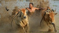 Bagaimana menurut Anda?