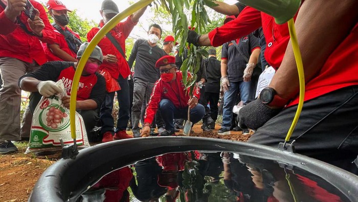 Aksi penanaman pohon digelar di 15 titik Daerah Aliran Sungai (DAS) Ciliwung. Kegiatan ini filakukan dalam rangka menyambut HUT PDIP yang ke-49.
