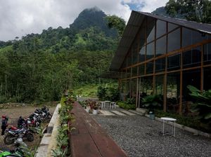Kedai Kayoe Kopi, Tempat Ngopi dengan View Hutan nan Hijau
