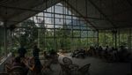 Kedai Kayoe Kopi, Tempat Ngopi dengan View Hutan nan Hijau