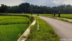 Deretan Rumah Jadul di Desa Cibubuan Sumedang yang Ditawar Miliaran Rupiah