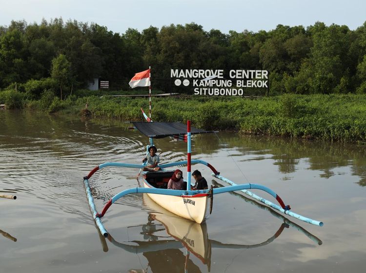 Kampung Blekok Tempat Wisata dengan View Keren, Rumah Ratusan Burung Air
