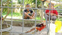 Kedai ini buka setiap hari dari jam 10.00 WIB - 17.00 WIB. Foto: Rinto Heksantoro/detikcom