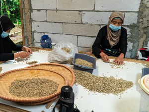 Keren! Kopi Sarongge Asal Cianjur Dapat Penghargaan Internasional