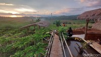 Dindin merogoh koceknya pribadi, hampir 70 persen uang pesangon yang ia peroleh dari perusahaan tempatnya bekerja. Di tengah kebun porang ia membuat spot-spot swafoto yang kemudian lokasi itu ia namai Saung Porang.