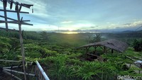Bersama warga dan pemuda setempat, lokasi itu ia sulap menjadi kawasan Agro Wisata bernuansa pedesaan.