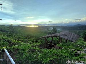Sengketa Lahan Warnai Industri Sawit, Bisnis Crazy Rich Surabaya Ikut Terseret
