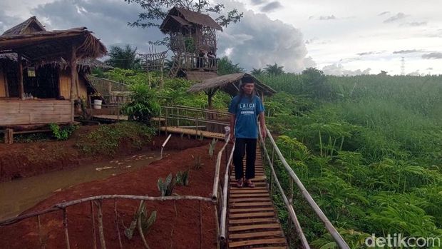 Lahan porang bekas persemaian sawit milik PTPN VIII di kaki Gunung Salak, Desa Ubrug, Kabupaten Sukabumi, kini diubah menjadi Agro Wisata bernuansa pedesaan. Yuk lihat.