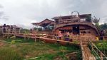 Saat Kebun Porang di Sukabumi Jadi Agro Wisata