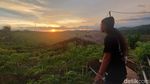 Saat Kebun Porang di Sukabumi Jadi Agro Wisata