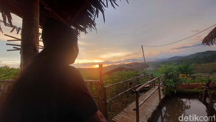 Lahan porang bekas persemaian sawit milik PTPN VIII di kaki Gunung Salak, Desa Ubrug, Kabupaten Sukabumi, kini diubah menjadi Agro Wisata bernuansa pedesaan. Yuk lihat.