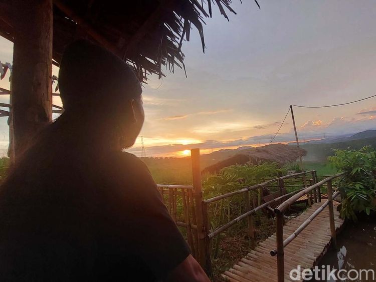 Saat Kebun Porang di Sukabumi Jadi Agro Wisata