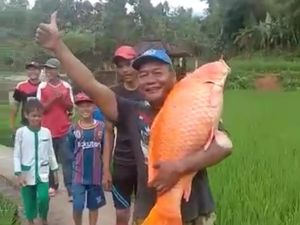 Warga Temukan Ikan Mas Raksasa di Danau Bersejarah Lebak, Ini Penampakannya