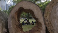 Anadi ingin duduk-duduk, selfie, dan sekadar berbincang-bincang, traveler bisa memilih Hutan Kota di GBK.  (ANTARA FOTO/ADITYA PRADANA PUTRA)