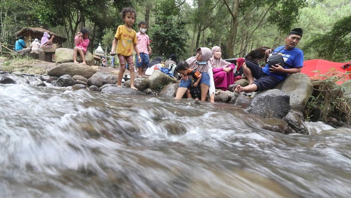Sejumlah pengunjung menikmati pemandangan di Bumi Perkemahan Bedengan Selorejo, Malang, Jawa Timur, Minggu (9/1/2022). Wisata alam di kawasan Perhutani Kesatuan Pemangkuan Hutan (KPH) Malang tersebut saat akhir pekan ramai pengenjung dengan tiket masuk sangat terjangkau. ANTARA FOTO/Prasetia Fauzani/foc.