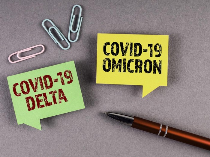 Covid-19 Delta and Omicron. Yellow and green speech bubble on a gray background.