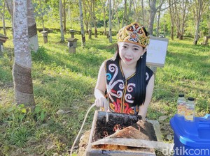 Viral Kecantikan Pengusaha Madu Kelulut dari Kalimantan, Bikin Netizen Salfok
