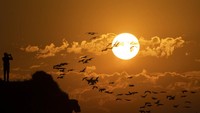 Seorang pria menggunakan ponsel pintarnya untuk memotretr kawanan burung terbang di atas Laut Mediterania, Palestina, (8/1/2022). (AP Photo/Ariel Schalit)