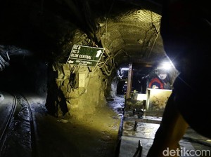 Koleksi Harta Karun RI Bertambah! Dekat Mandalika Ada 2 Miliar Ton Emas-Tembaga