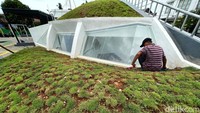 Seorang pekerja melakukan perawatan taman di Taman Sambas Asri, Kebayoran Baru, Jakarta, Senin,(10/01/2022).