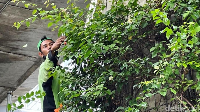 Perawatan Kolong Flyover Pangeran Antasari Jakarta Perawatan dan pemeliharaan di kawasan Ibu Kota Jakarta terus dilakukan. Salah satunya perawatan di kolong flyover Pangeran Antasari, Jakarta Selatan.
